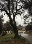 Wooded Retreat, Welcome to the Woods! Fun, Games! Destress,Quiet Private Setting