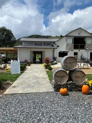 Modern Mountain Getaway w/ expansive wrap-around deck, loads of special touches