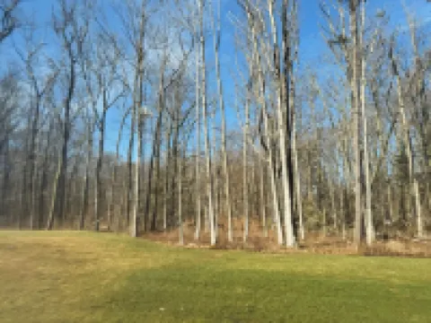 Close to Everything-Tucked Away from the Noise. A Brand-New, Blissful Stay.