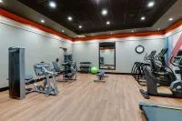 Drury Plaza Hotel Mt Vernon - Gym