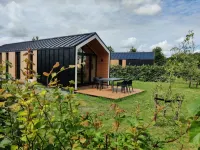 Cozy Chalet in Kuinderbos Hotels in Еммелорд