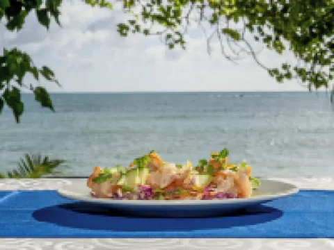 Castello Beach Hotel Hotels in Praslin Island