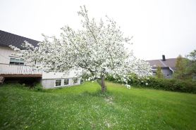 Apartment at Ranheim