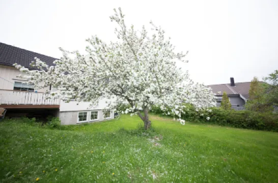 Apartment at Ranheim Hotels in 