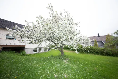 Apartment at Ranheim Hotels in Midtsandan