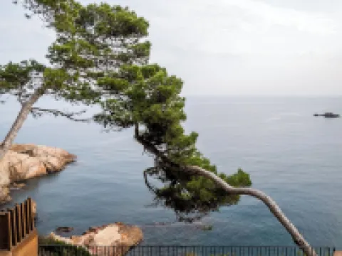 Bypillow Cap Sa SAL Hotels in Begur