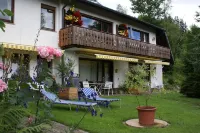 Black Forest Apartments Titisee