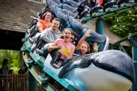 Cozy Comfortable Cottage Hotels in Breskens