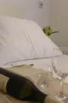 Smeštaj Olivera Niška Banja Hotel a Niska Banja