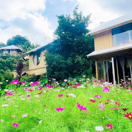 Moc Glamping & Ecohouse