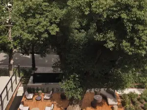 Capitolo Riviera