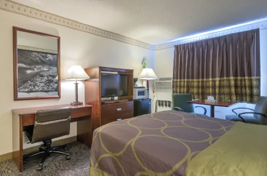 科羅拉多斯普林斯-切斯特納特街温德姆速8酒店