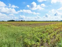 West Flanders Vacation Home Hotels in Comines-Warneton