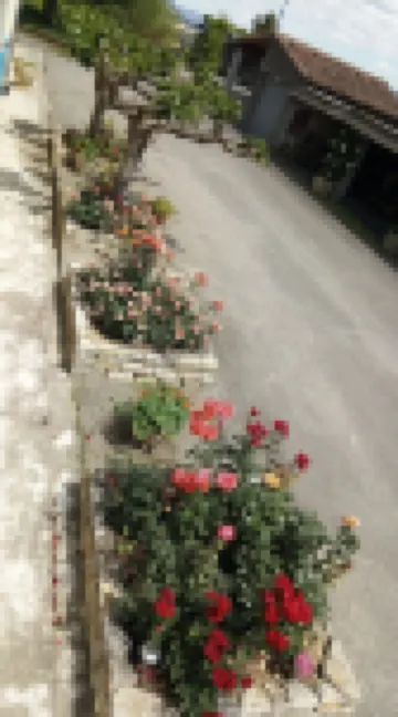 La Vigneronne