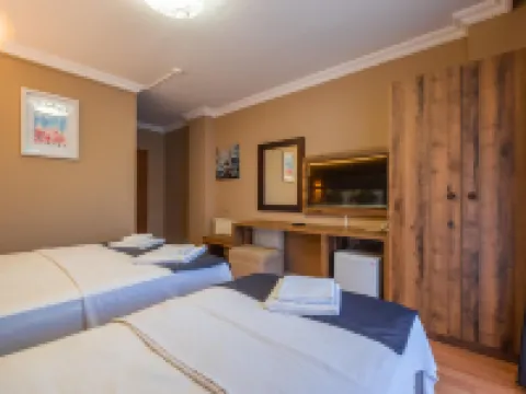 Platanus Hotel Altınoluk エドレミトのホテル