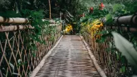 Hideout Eco Bamboo House Bali - pet friendly