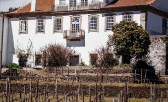 Casa do Santo - Wine & Tourism