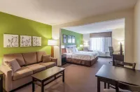 Sleep Inn & Suites Harrisonburg Near University - 2-stjärniga