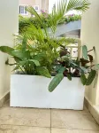 Glovis Luxury Apartment - Boutique