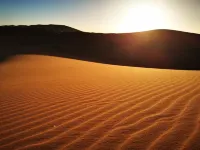 Riad Desert Camel