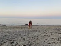 Private sandy beach - Ocean view 4 bedrooms