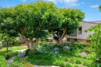 Breathtaking Ocean Views and Modern Amenities - Elegant Seaside Haven Hotels near Tide Beach Park