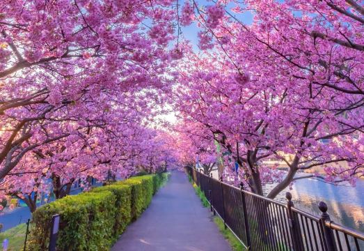 이즈-이마이하마 도큐 호텔