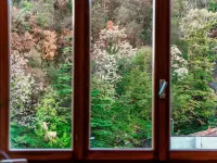 Blue Mood - by Myhomeincomo Hotels in Cernobbio