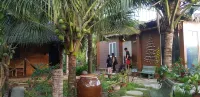 Phuc Sinh Homestay - bar