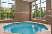 夏洛特鎮Homewood Suites by Hilton - 健身房