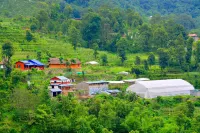 Indreni Organic Farm and Homestay - Hostel