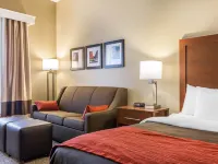 Comfort Inn Hotels in Frederick County