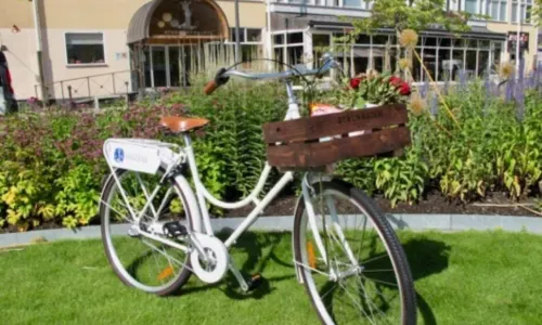 斯梅德揚家園酒店