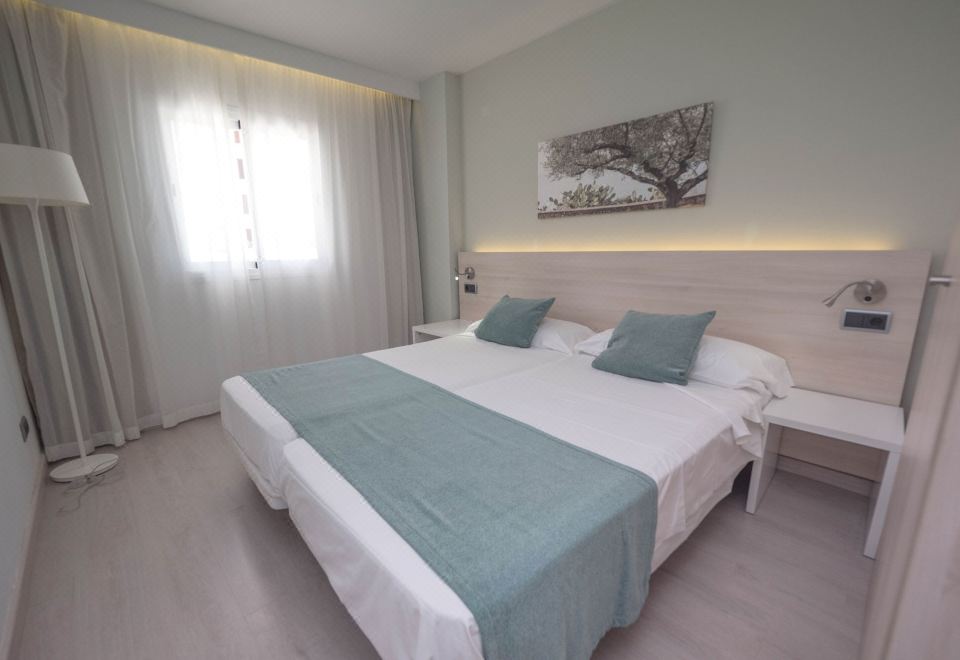 APARTAMENTOS THE OLIVE BEACH ALCUDIAOver view