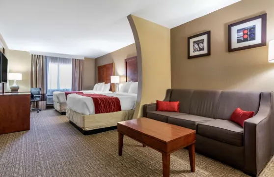 利茲I-20舒適套房酒店