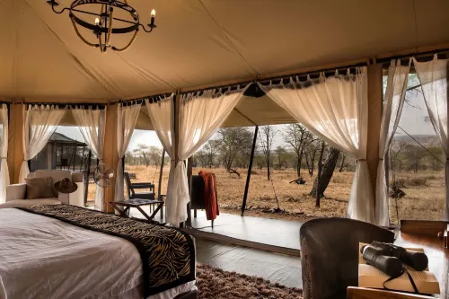 Wellworth Ole Serai Luxury Camp - Moru Kopjes - bar