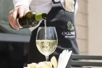 Hotel Dom Goncalo & Spa - bar