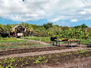 Anantara Bazaruto Island Resort