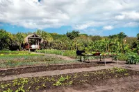 Anantara Bazaruto Island Resort Hotels near Benguerra Island