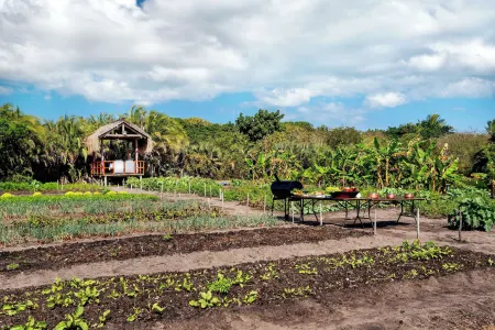 Anantara Bazaruto Island Resort