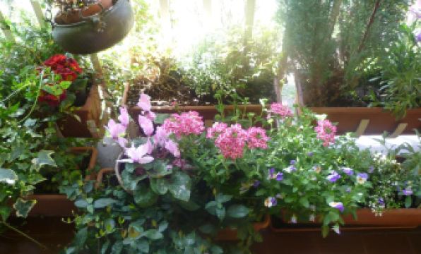 La Terrazza Sul Po - Housity