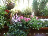 라 테라차 술 포  호텔