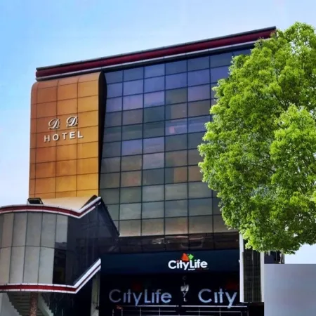 Didi Hotel Alambagh