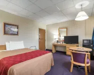 Econo Lodge Hotels in Bedford