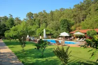 Dalya Life - Pools