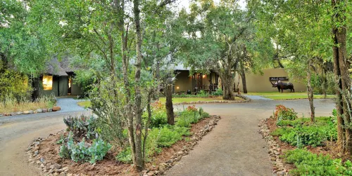 Black Rhino Game Lodge Hotels in Pilanesberg National Park