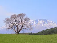 โตโยโกะ อินน์ สถานีคิตะคามิ สายชินคัน โรงแรมในคิตะกะมิ