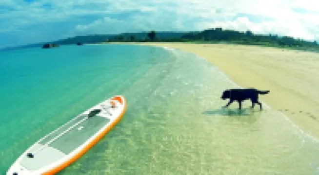 Okinawan. Sweet Home. T-8