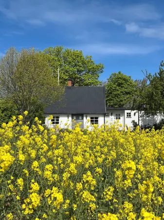 Sydkustens at Pillehill Отели в г. Скуруп
