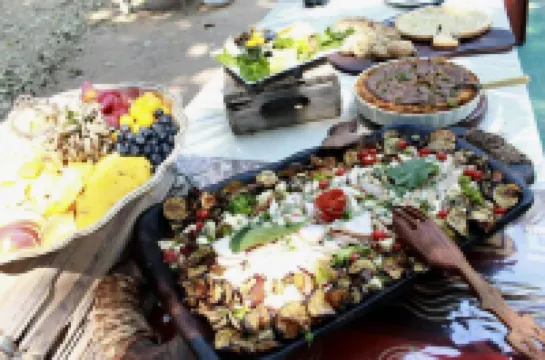 Mwinilunga Safaris فنادق في 